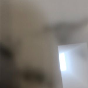 Meet your Posher, Lexi